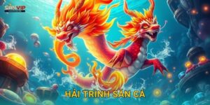 Hải Trình Săn Cá Sanvip – Phiêu Lưu Đại Dương