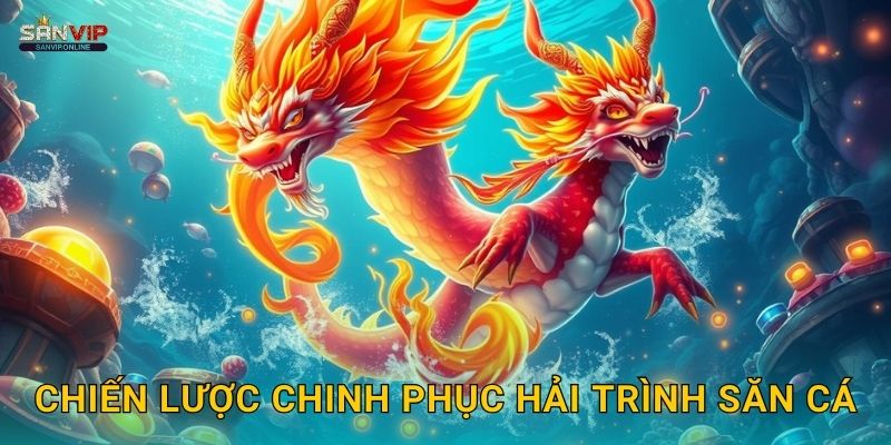Chiến lược chinh phục Hải Trình Săn Cá
