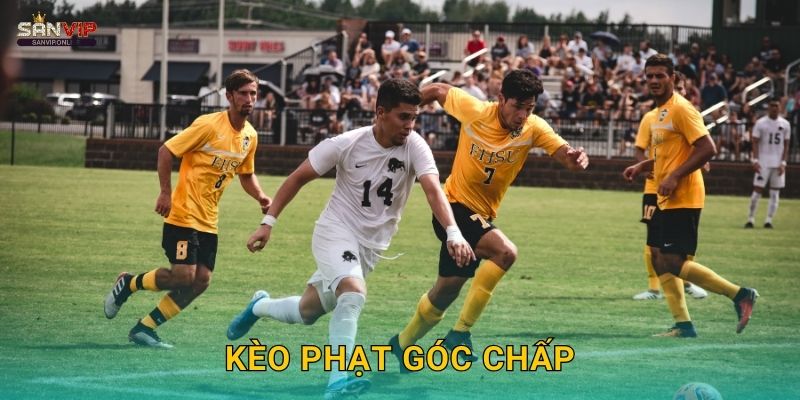 Kèo Phạt Góc Chấp Sanvip – Tỷ Lệ Hấp Dẫn