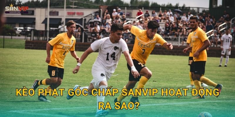 Kèo phạt góc chấp Sanvip hoạt động ra sao?