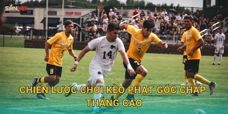 Chiến lược chơi kèo phạt góc chấp thắng cao
