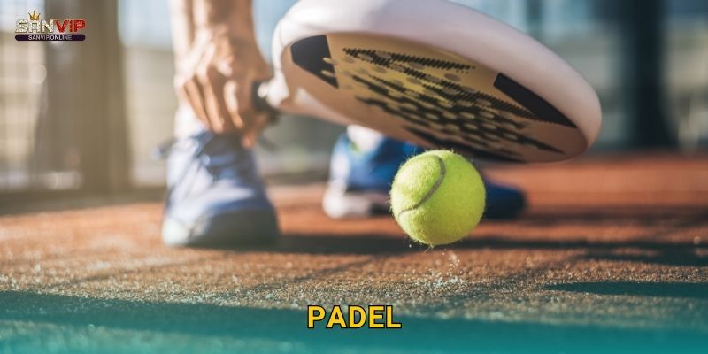 Cá Cược Padel Sanvip – Môn Thể Thao Mới Lạ