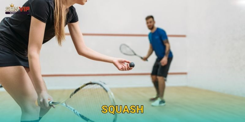Cược Squash Sanvip – Thể Thao Tốc Độ Cao