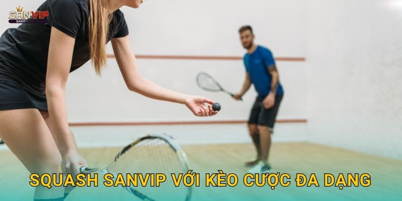 Squash Sanvip với kèo cược đa dạng